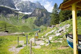 wandern mit kindern themenwanderwege und themenpfade schweiz wandern mit kindern ausflug urlaub schweiz