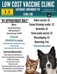 Where can i get low cost vaccinations for my dog. Low Cost Vaccine Clinic Colorado Animal Rescue