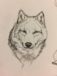 Let me show you a step by step tutorial on setting up and drawing a basic wolf head. Wolf Head Drawing By Nannynunu On Deviantart