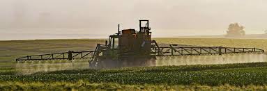 Using roundup or other toxic weed killers can be hard on your pets and on any thing you may wish to grow in the soil.they do not leave the soil readily. Roundup Weed Killer Lawyer San Diego The Mitchell Firm