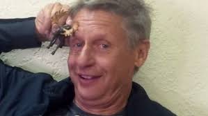 Image result for gary johnson stoned