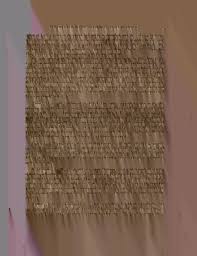 Image result for Pharnaceum brevicaule