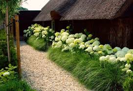Garden Design One Hydrangea Border Hydrangea Landscaping Grasses Landscaping Beautiful Gardens