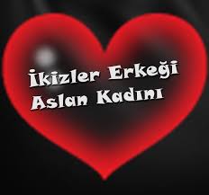 Bu gruba ait burcun bireyleri; Ikizler Erkegi Aslan Kadini Iliskisi Nasil Olur Burclarin Ozellikleri