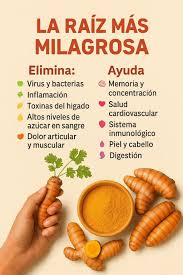 Has escuchado hablar de la MIEL DE ORO? 🍯✨ No es un tesoro de leyenda,  pero sus beneficios para tu salud sí lo son. Te presentamos la Curcumiel, la  combinación poderosa de