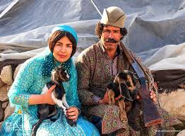 نتیجه جستجوی لغت [nomadic] در گوگل