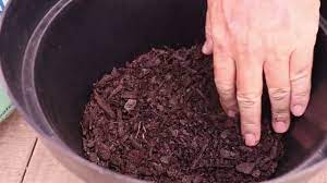 Use a spade or your hands to mix all of the ingredients together. Transplanting Clivias And Clivia Mix Youtube