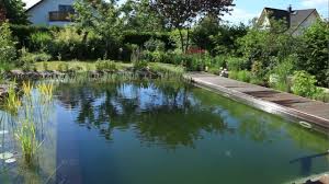 Sie wollen ihren eigenen schwimmteich im garten anlegen? Wasser Mediathek Berliner Garten Garten Fur Berlin Und Brandenburg