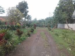 Waa2 menggunakan cookie kami sendiri dan pihak ketiga untuk meningkatkan pengalaman pengguna anda, meningkatkan layanan kami, dan untuk menganalisis data penelusuran. Dijual Tanah Kebun 2 Ha Pinggir Jalan Cocok Untuk Perumahan Di Bojong Purwakarta