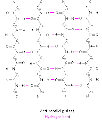 A single chain of a polypeptide is called simple protein. Protein Structure Proteins Are Organic Molecules Found In Large Quantities In Most Living Systems Proteins Perform A Variety Of Functions Structural Collagen Regulatory Insulin Contractile Actin Myosin Transport Hemoglobin Protective Antibodies And
