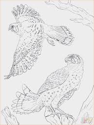 Spring Coloring Sheets For Adults Unique 22 Cool Blue Angels Coloring Page In 2020 Horse Coloring Pages Spring Coloring Pages Animal Coloring Pages