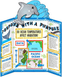 Science Fair Projects Science Fair Projects Boards Science Fair Science Fair Projects