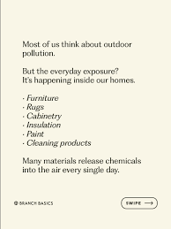 Branch Basics (@branchbasics) • Instagram photos and videos