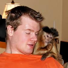 Gigi & Nate vs. the True Story of Ned Sullivan's Helper Monkey