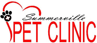Maybe you would like to learn more about one of these? Summerville Pet Clinic Pet Vaccines Shots Dog Cat Animal Vet Clinic Trolley Rd Summerville Veterinary Heartworm Flee Vet Veterinarian Hospital Southcarolina Rabies Shots Distemper Heartgard Revolution Bravecto Trifexis Tri Heart Sentinel K9