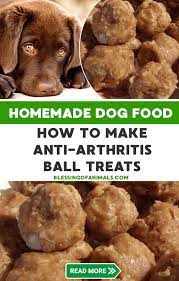 Pin On Homemade Dog Food Recipes