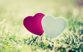 We did not find results for: Romantic Love Pictures Wallpapers Wallpaper Cave