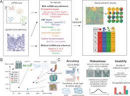 A comprehensive benchmarking with practical guidelines for cellular  deconvolution of spatial transcriptomics | Nature Communications