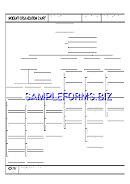 Ics Organizational Chart Templates Samples Forms