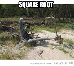 Image result for Natural funny image