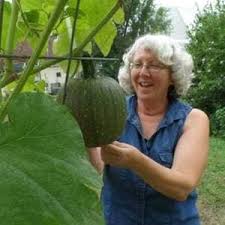 See more ideas about square foot gardening, garden planning, garden. Blog How To Grow Corn The Square Foot Gardening Way Glen Burnie Md Patch