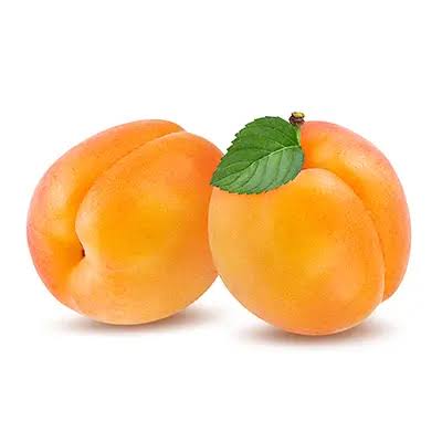 نهال زردآلو رویال