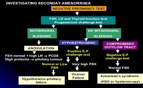Image result for Progesterone Challenge Test