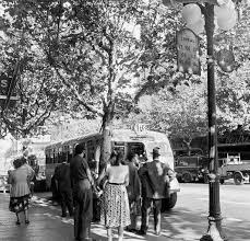 Vieja Parada Montevideo Street View Scenes