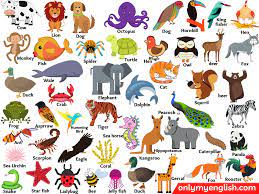 Learn why bats, bears, primates, and more will not make good companion animals. Animals Name In English Types Of Animals And Pictures Onlymyenglish