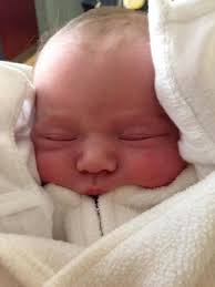 Peter Schneider Obituary (2002)