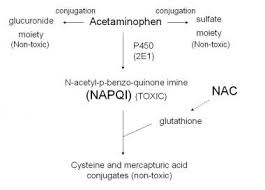 acetaminophen toxicity practice essentials background