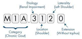 Diagnosis codes must always be documented to the highest known level of. Icd 10 Conversion And Mapping Aapc