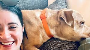 Finding an 80-pound senior dog's happy place