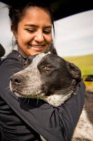 Free Vectors, PNGs, Mockups & Backgrounds