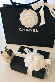 Pug And Chanel Shopping Bag Chanel Box Chanel Camelia Chanel Love Womensshoulderbags Chanelhandbags In 2020 Chanel Box Chanel Accessories Chanel