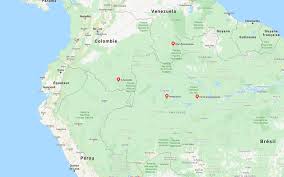 Ces troubles peuvent avoir une origine musculaire ou articulaire. L Amazonie Premiere Partie Stephanie Vidonne