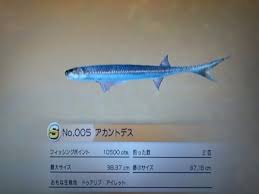 ポコモン中立進化説 - はてなブログ