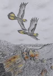 Graphite Pencil Sketch Of Birds Flying Over The Three Sister S Echo Point Nsw Australia Pretty Drawings Bird Sketch Sketches