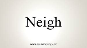Although it is sometimes spelled 'neigh', it is more commonly spelled 'nay'. How To Pronounce Neigh Youtube