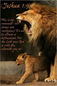 Joshua 1 9 Bible Lion Of Judah Animals