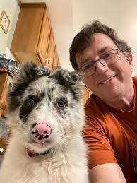 importance of dogs in family life