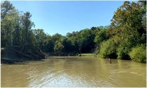 Rent direct.save up to 15% by avoiding the vrbo & airbnb fees your vacation rental source on smith lake since 2003! Equity Share In Bolivar County At Smith Point Llc Hunting Land For Sale Huntinglocator Com