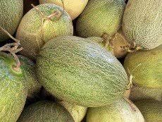 We did not find results for: Honeydew Melon Origins Consumption Nutrition Facts Health Benefits