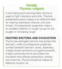 Thyme Health Benefits Antibacterial Properties Helps To Fight Infections And More Herbs Essential Oils Herbs Healing Herbs
