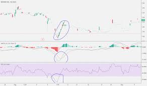 Myo Stock Price And Chart Amex Myo Tradingview