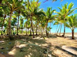  Pantai Wendu Ilustrasi Poster Ilustrasi Poster