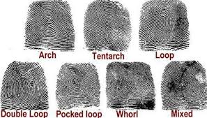 What S Yours Forensics Forensic Science Fingerprint