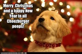 I Can Has Cheezburger Happy New Year Funny Animals Online Cheezburger We have a huge collection of happy new year's memes to help you do just that. happy new year funny animals