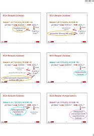 Blutgasanalyse Welche Konsequenzen Hat Das Ergebnis Vortragsziele Ph Wert Puffersysteme Im Blut Bestandteile Der Blutgasanalyse Pdf Free Download