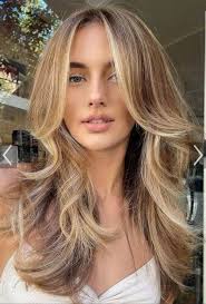 Model needed for partial highlight service